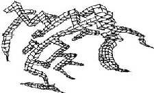 maindoodle1.gif (21314 bytes)